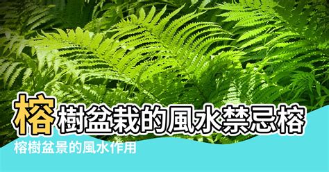 砍榕樹禁忌|榕樹禁忌大全：台灣民間習俗的秘辛 